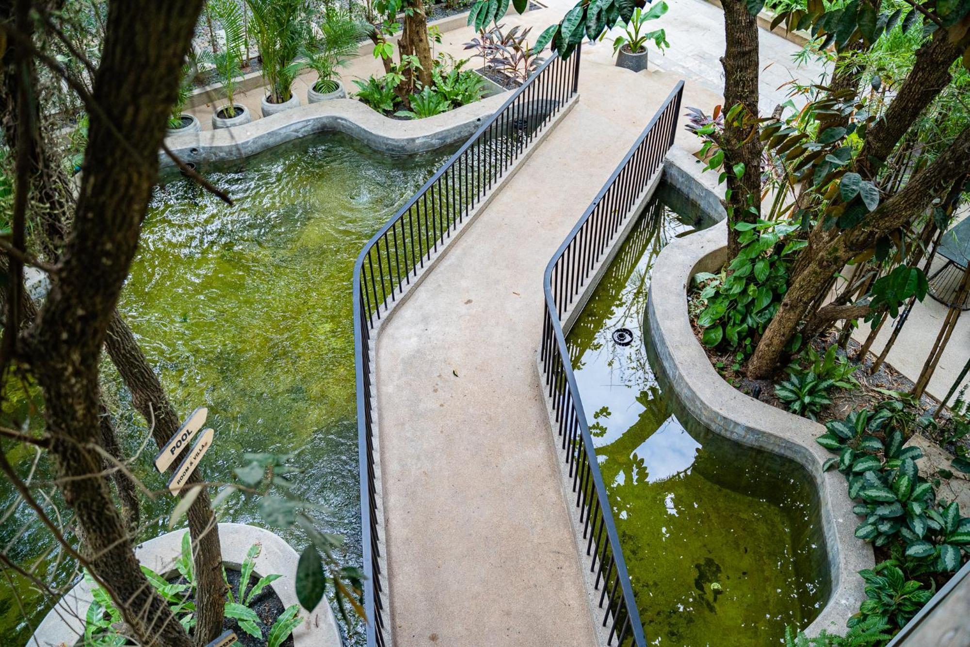 Rainforest Hotel By Nsun Kampot Exteriér fotografie